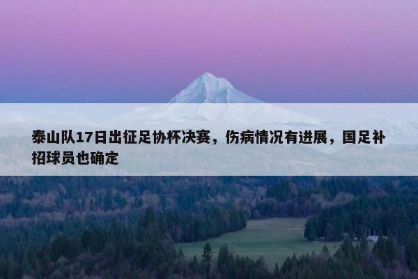 泰山队17日出征足协杯决赛，伤病情况有进展，国足补招球员也确定