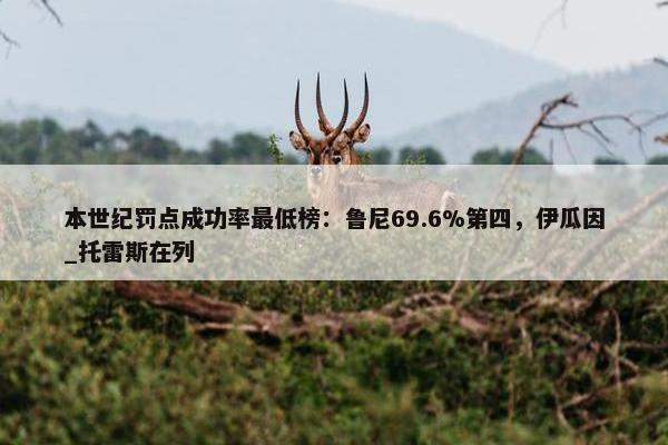 本世纪罚点成功率最低榜：鲁尼69.6%第四，伊瓜因_托雷斯在列