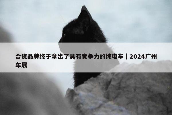 合资品牌终于拿出了具有竞争力的纯电车｜2024广州车展