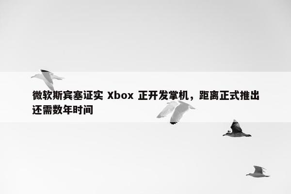 微软斯宾塞证实 Xbox 正开发掌机，距离正式推出还需数年时间