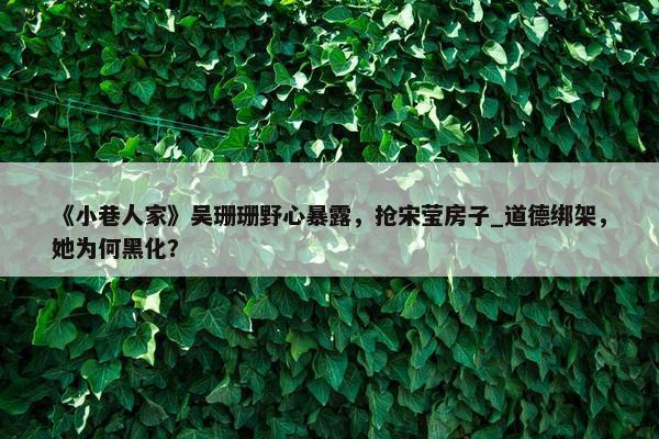 《小巷人家》吴珊珊野心暴露，抢宋莹房子_道德绑架，她为何黑化？