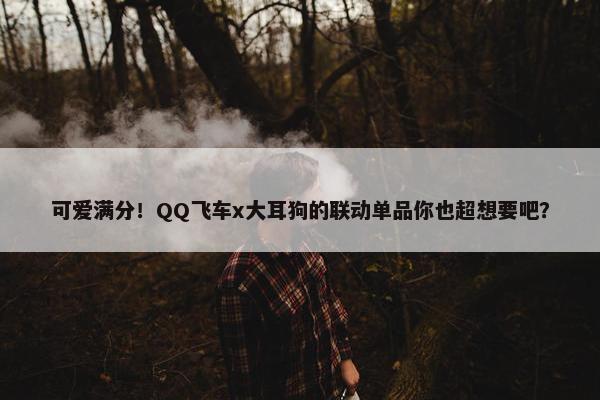 可爱满分！QQ飞车x大耳狗的联动单品你也超想要吧？