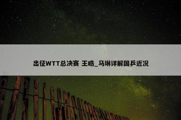 出征WTT总决赛 王皓_马琳详解国乒近况