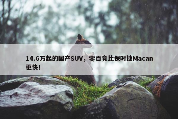 14.6万起的国产SUV，零百竟比保时捷Macan更快！