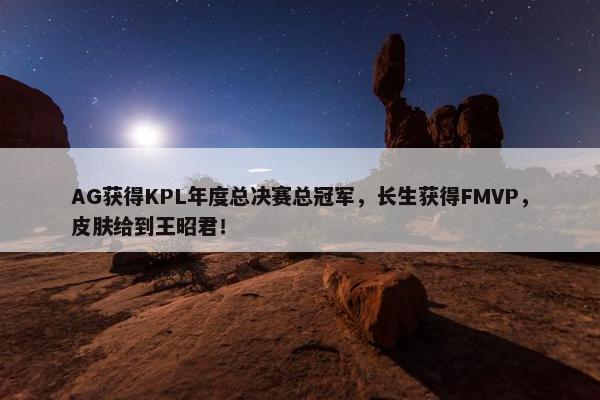 AG获得KPL年度总决赛总冠军，长生获得FMVP，皮肤给到王昭君！