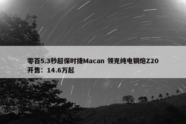 零百5.3秒超保时捷Macan 领克纯电钢炮Z20开售：14.6万起