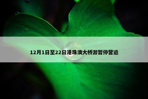 12月1日至22日港珠澳大桥游暂停营运