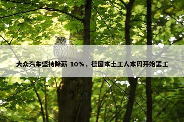 大众汽车坚持降薪 10%，德国本土工人本周开始罢工