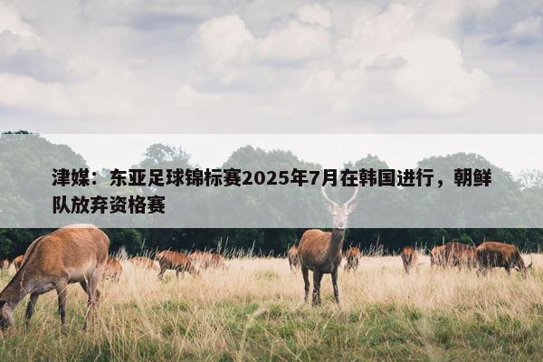 津媒：东亚足球锦标赛2025年7月在韩国进行，朝鲜队放弃资格赛