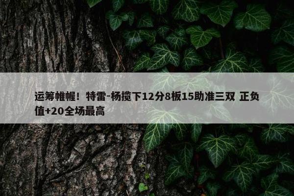 运筹帷幄！特雷-杨揽下12分8板15助准三双 正负值+20全场最高