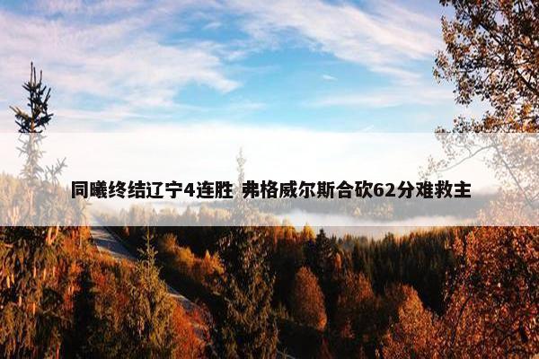 同曦终结辽宁4连胜 弗格威尔斯合砍62分难救主