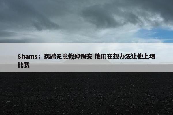 Shams：鹈鹕无意裁掉锡安 他们在想办法让他上场比赛