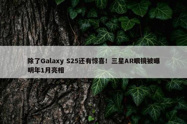 除了Galaxy S25还有惊喜！三星AR眼镜被曝明年1月亮相