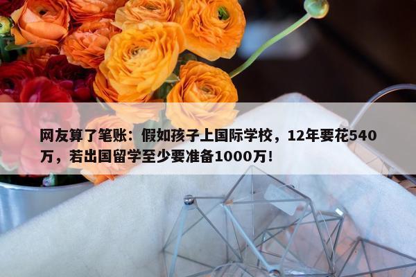 网友算了笔账：假如孩子上国际学校，12年要花540万，若出国留学至少要准备1000万！