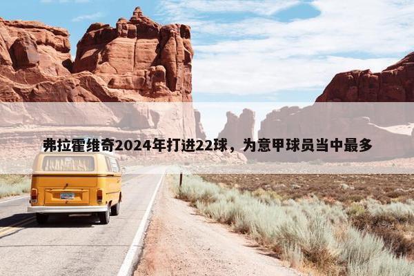 弗拉霍维奇2024年打进22球，为意甲球员当中最多