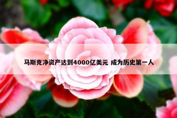 马斯克净资产达到4000亿美元 成为历史第一人