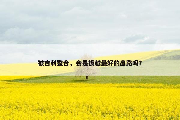 被吉利整合，会是极越最好的出路吗？